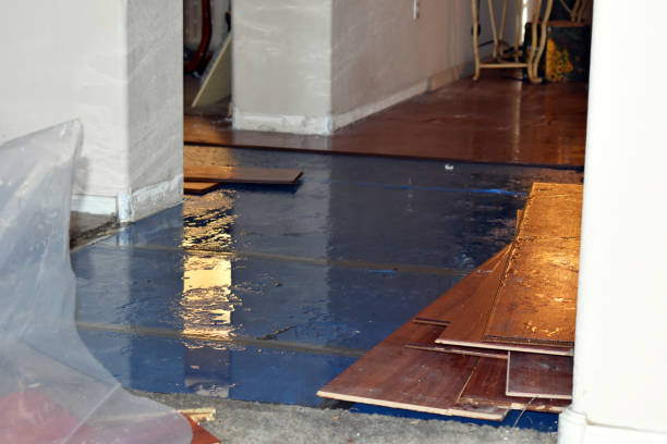 Professional Basement Flood Cleanup technician working in Merion Station, PA